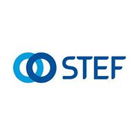 logo stef